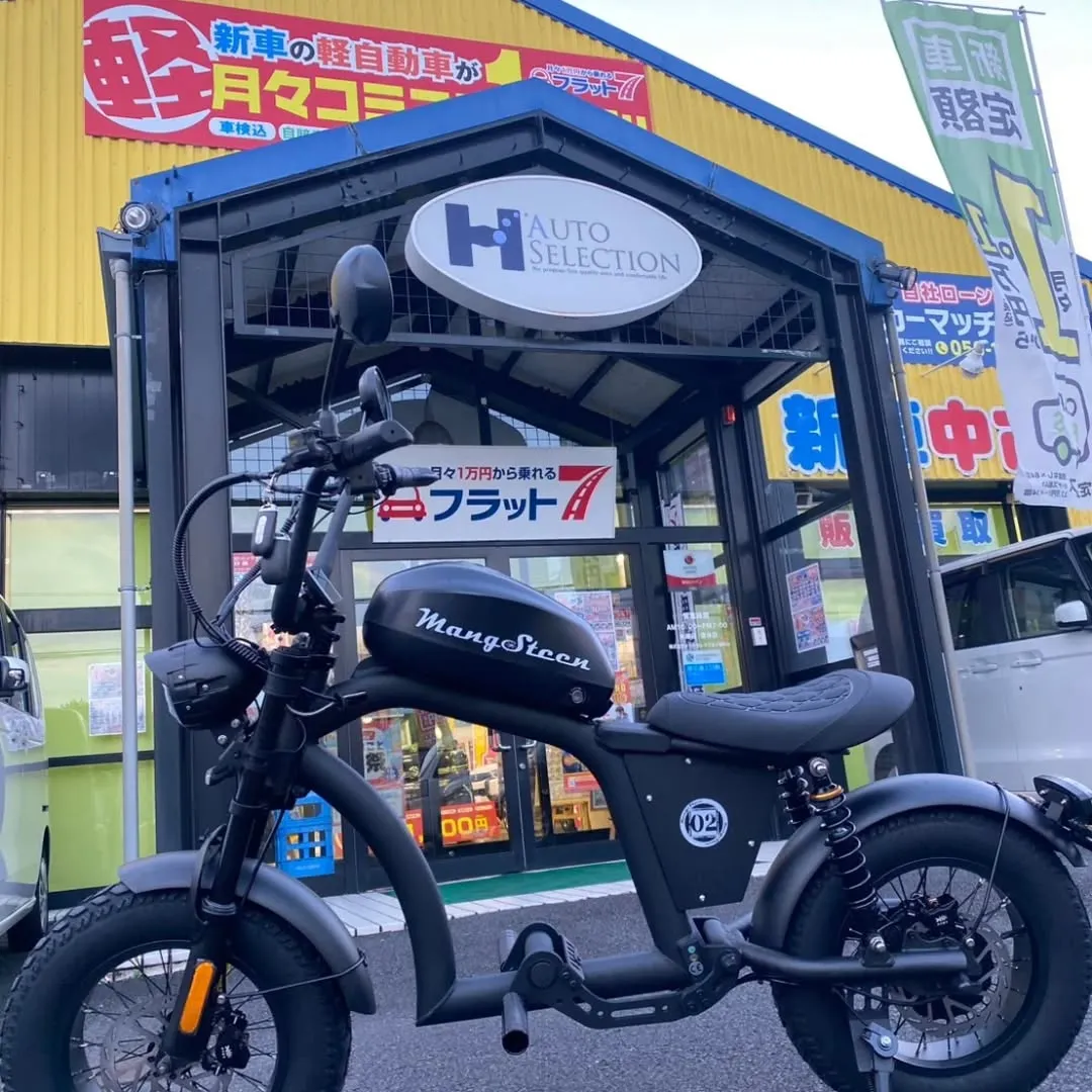 【MANGOTEEN FT02MINI】これは、ただの電動バ...