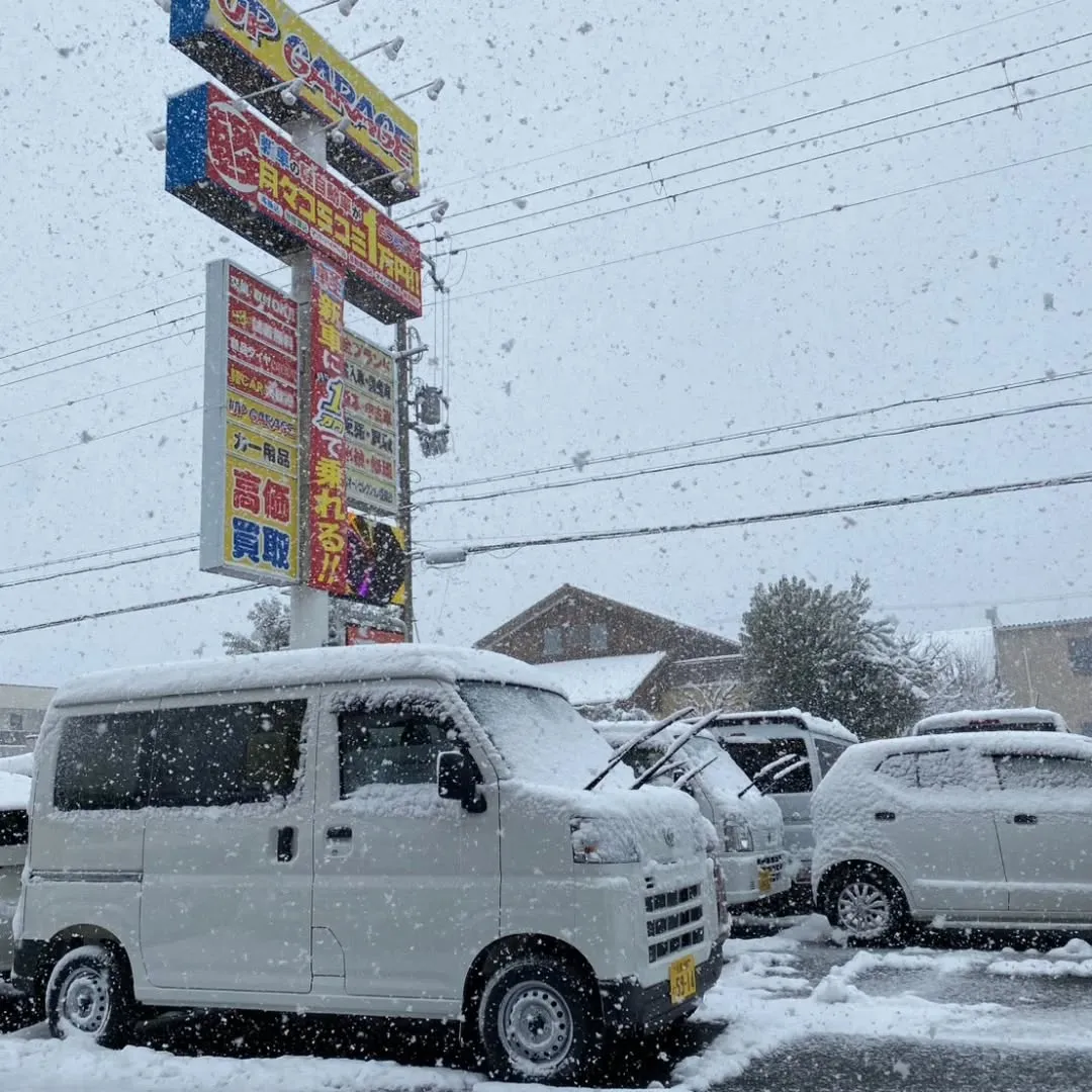 おはようございます☃️